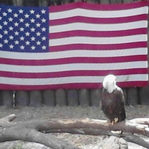 Meet your Posher, Ray